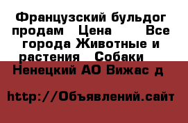 Французский бульдог продам › Цена ­ 1 - Все города Животные и растения » Собаки   . Ненецкий АО,Вижас д.